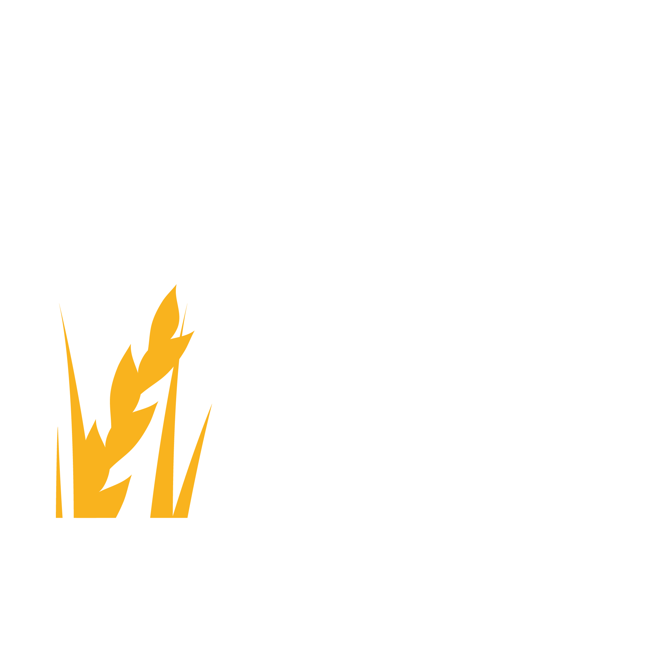 Festival do Arroz Carolino 2023
