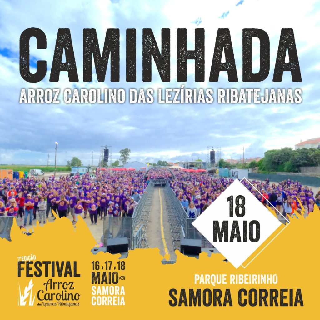 Caminhada Arroz Carolino 2025