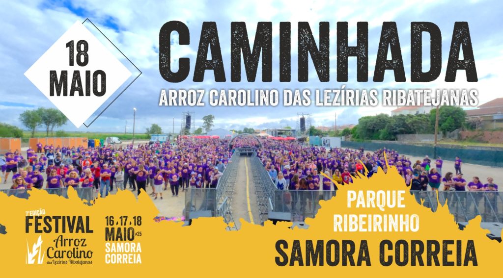 Caminhada Arroz Carolino 2025